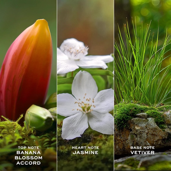 Marc Jacobs Daisy Wild miniature - Picture 3 of 11